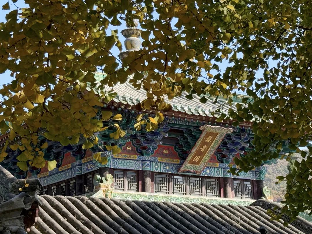 “Peace and Blessings”: The Compassionate Greeting in Shaolin Culture