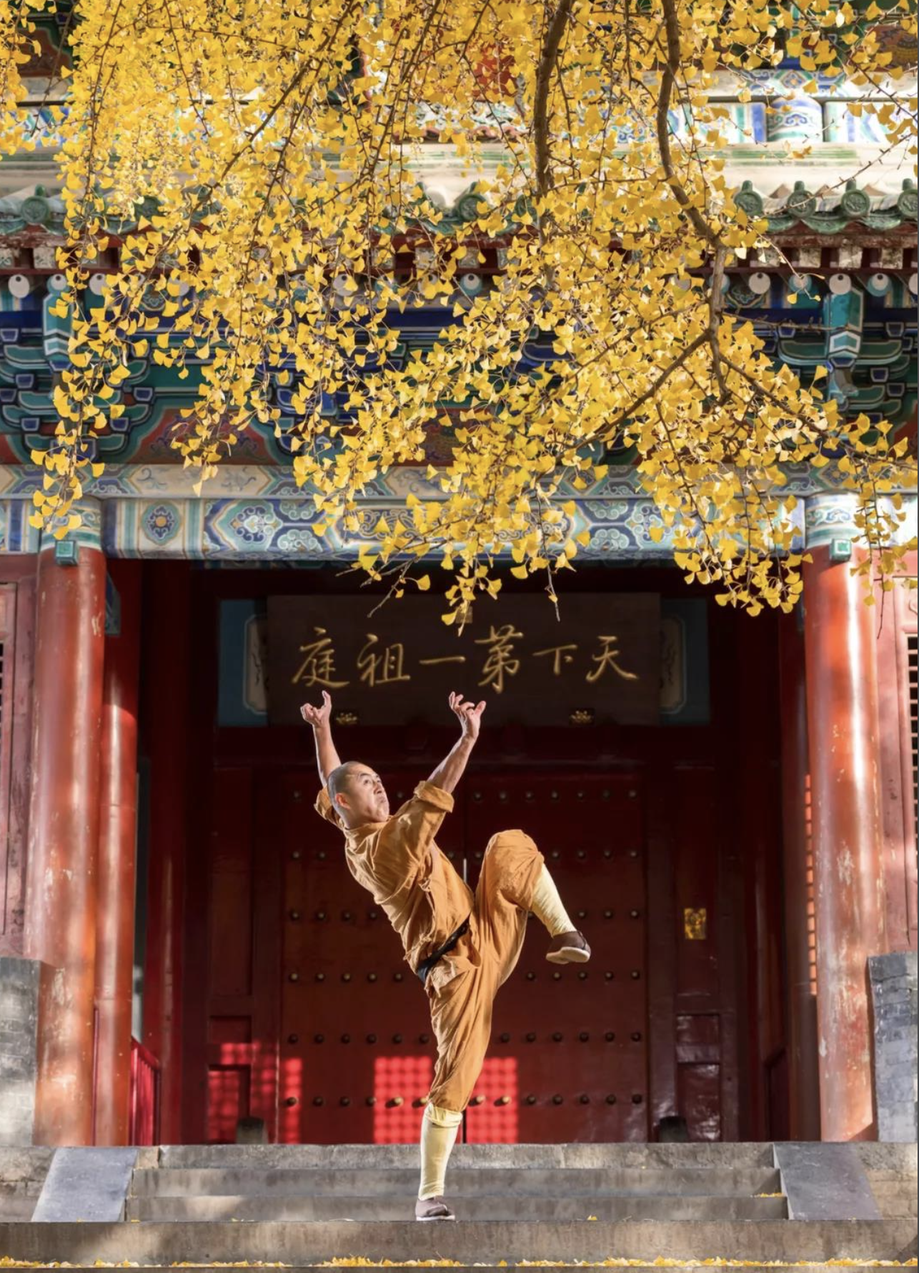 Shaolin Kung Fu: Schools and Systems​​