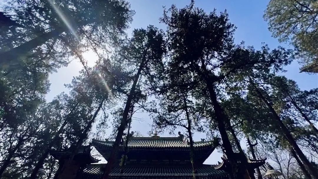 【Chan Story】Letting Go and Gaining
